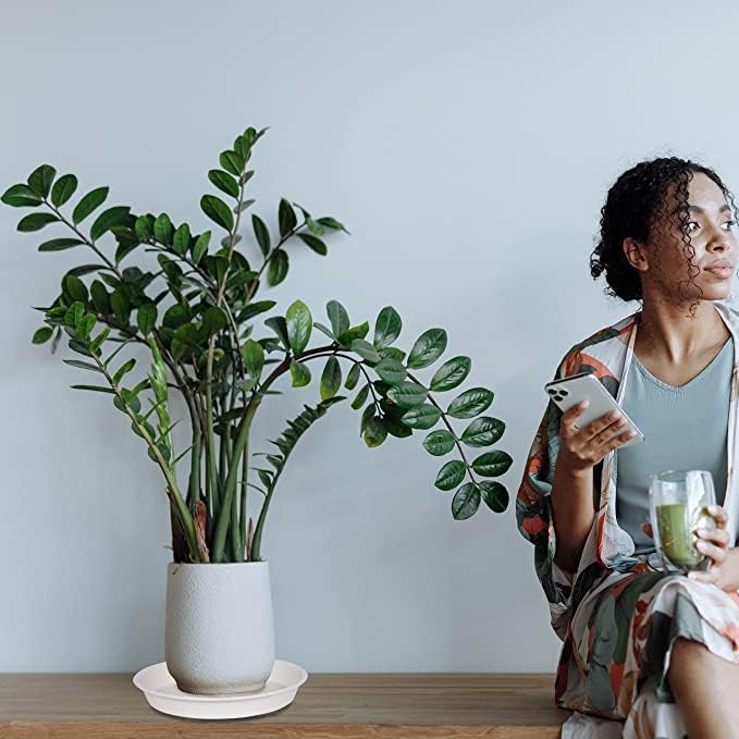 6 Pack Plastic White Plant Saucers for Potted Plants, 4 5 6 7 8 9 10 11 12 14 inch, Flower Pot Water Trays for Indoor Outdoor Ceramic or Plastic, Plant Containers Indoor (6", Creamy White)