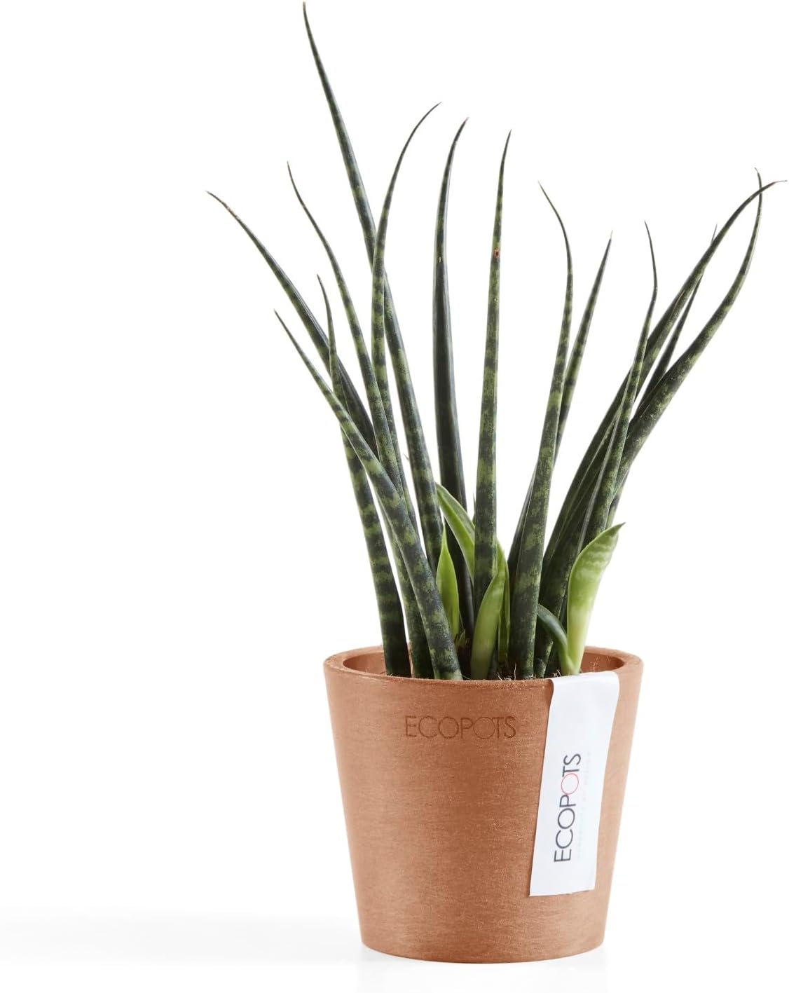 Ecopots Amsterdam Mini Durable Modern Round Recycled-Based Composite Flower Pot Planter, Terracotta Color, 3"