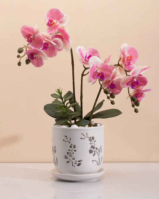 Orchid Pot, 6.5 inch Large Orchid Pots with Holes for Healthy Growth and Easy Repotting, Premium Ceramic Orchid Planter for Indoor and Outdoor Use, (Note : Plant Not Included)