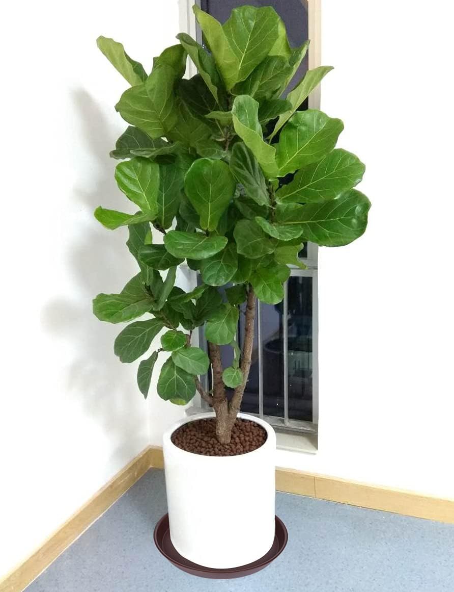 4 Pack of 16 inch Plant Saucer, Heavy Duty Round Plant Trays for Pots, Bird Bath Bowls, Plastic Plant Water Tray, Flower Plant Saucers for Indoors (16", Chocolate)