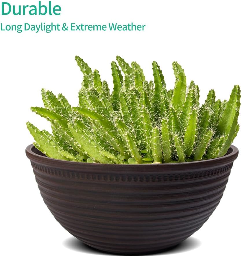 2 Pack 10 Inch Plant Pots,Durable Decorative Flower Pots Planters with Drainage Hole for Indoor and Outdoor Plants,Flowers,Succulents, Brown