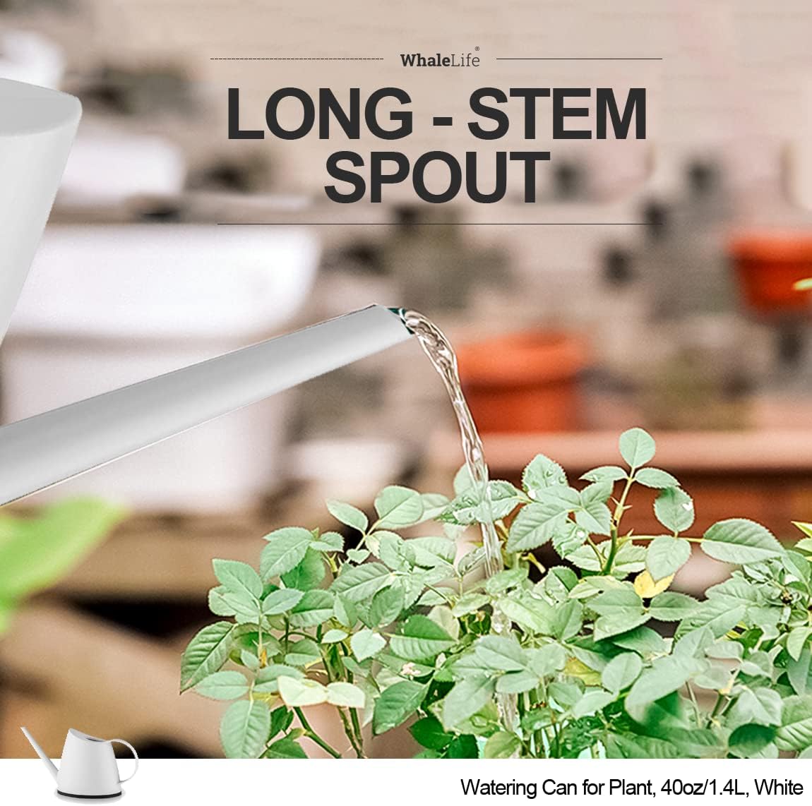 WhaleLife Indoor Watering Can for House Bonsai Plants (1.4L, White)