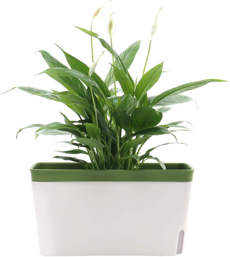 GardenBasix Self Watering Planter Pots Window Box for Indoor Plants Home Garden Modern Decorative Flower Pot for All House Herbs Succulents Set of 6 (6, Green(Rectangle))