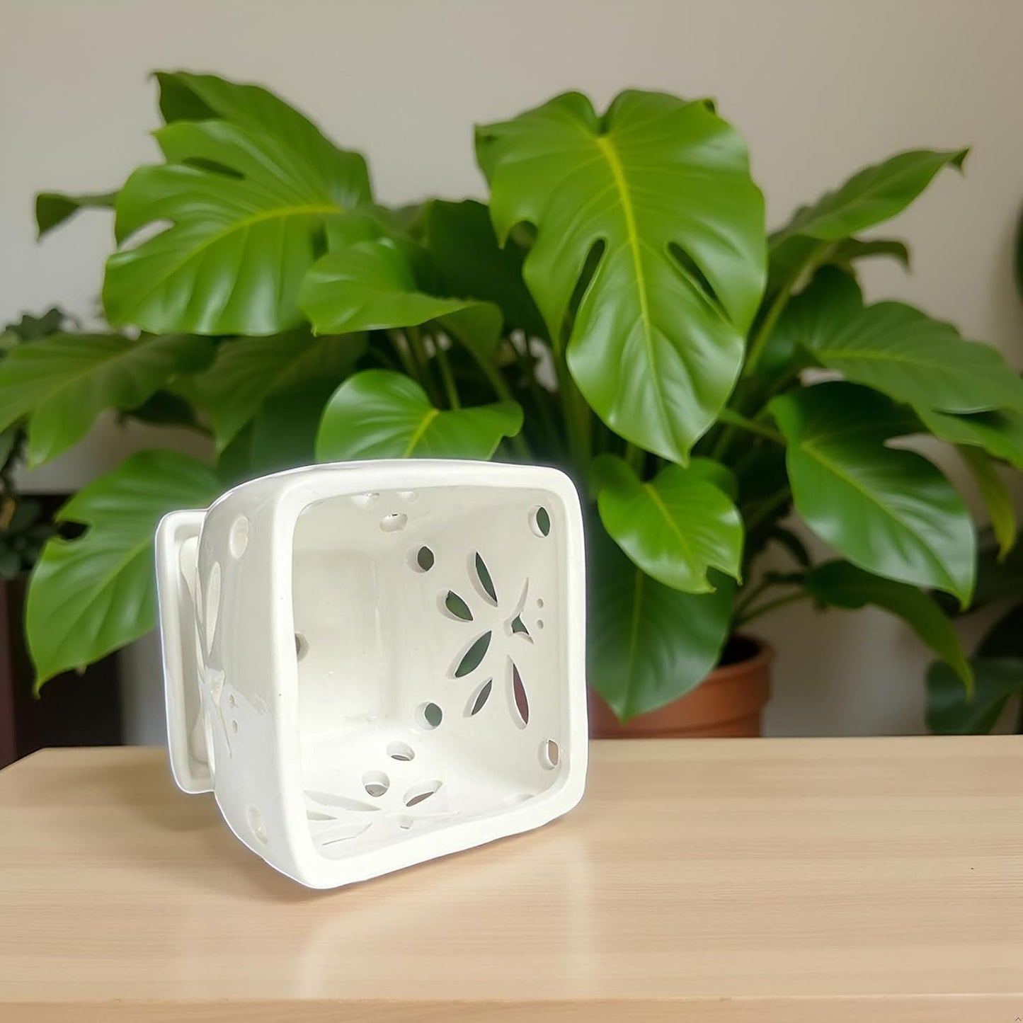 Orchid Pots with Holes Square Ceramic Orchid Planter Pots 5.5 inch (White)