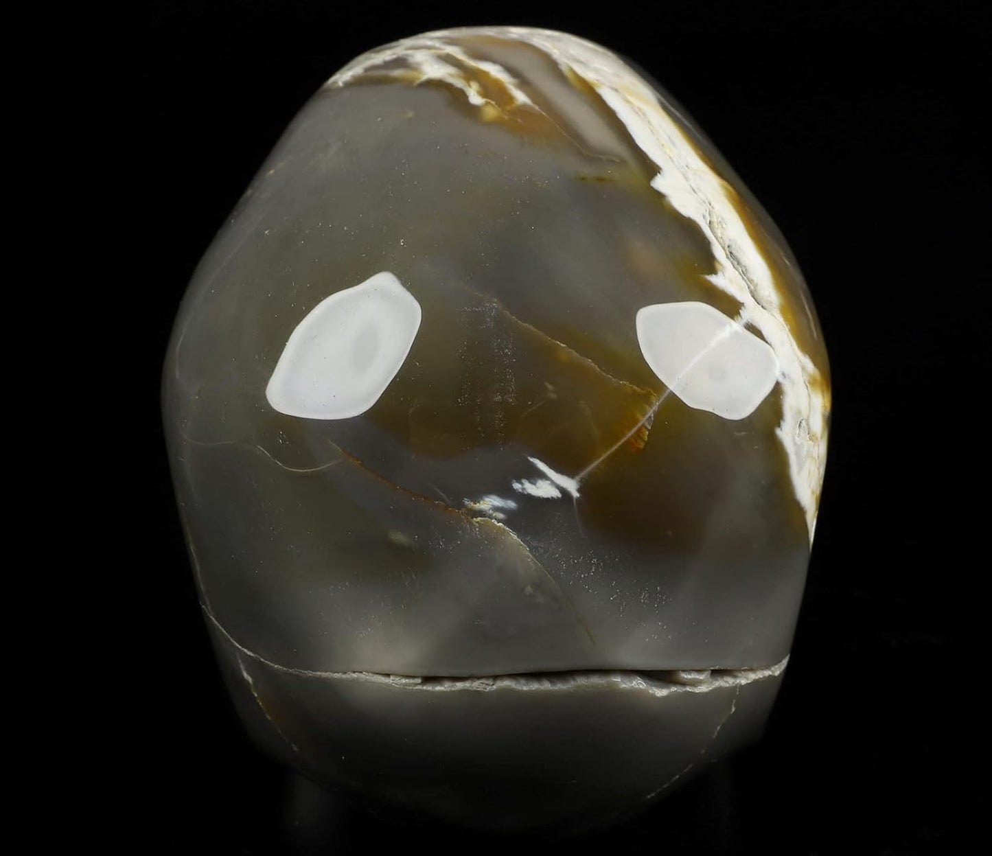 Skullis 5.0" African Petrified Wood Super Realistic Crystal Carved Crystal Skull. Hand Carved Gemstone Fine Art Sculpture.2260 Z8