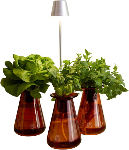 Counterstand Set – Vase Plant for Indoor Edible Garden Kit for Herbs & Lettuce – Small-Space Hydroponic System – Home Decor & Gifting – Without Live Plants