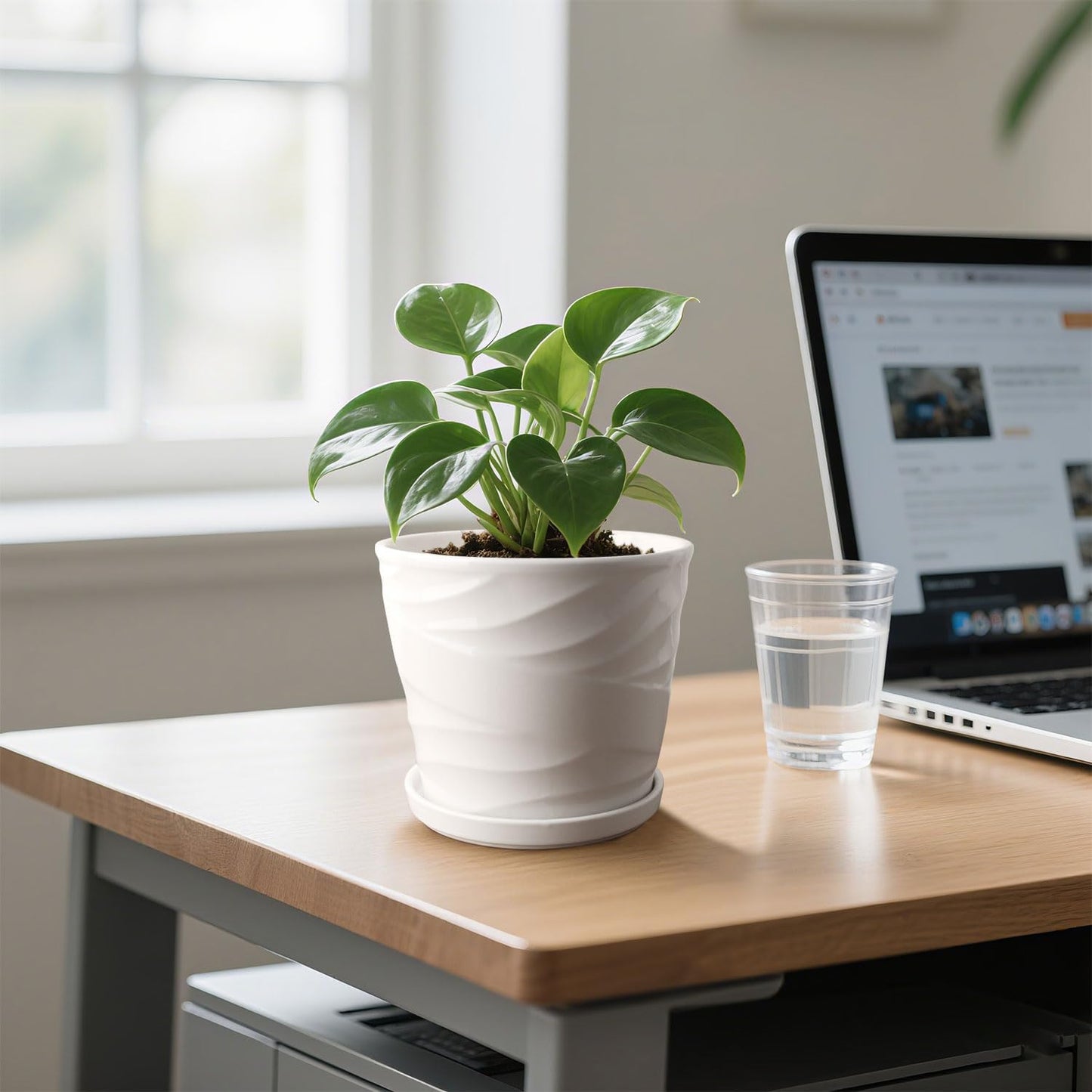 6.7 + 5.5 Inch Plant Pot, Ceramic Planter with Drainage and Saucer，Ceramic Pots for Plants, Indoor Plant pots，Succulent Orchid Flower Pot(Pure White)