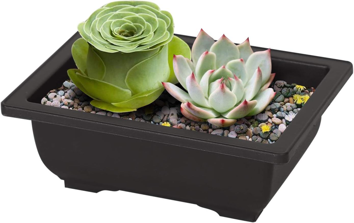 KINJOEK 20 PCS 6.5 Inch Bonsai Training Pots, Rectangular Plastic Bonsai Pots, Flower Succulent Pots Container for Garden, Indoor, Home Decorative