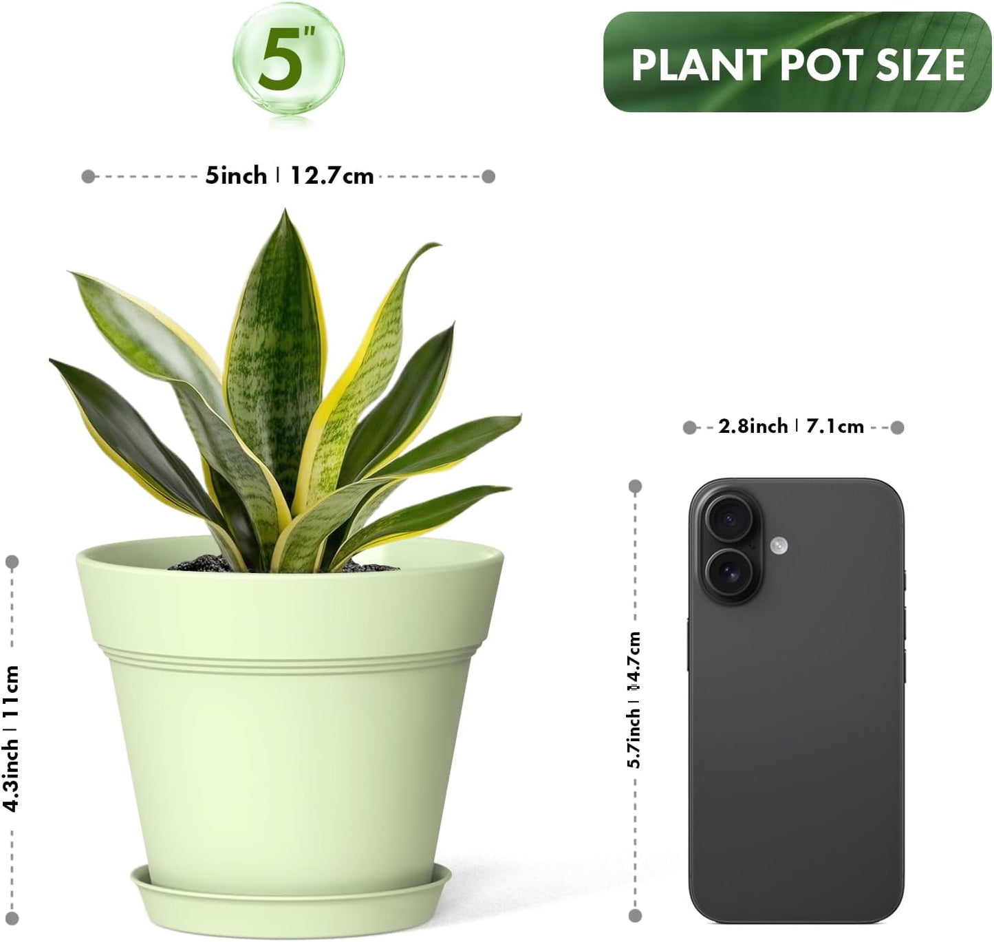 5 Inch Plastic Plant Pots with Drainage Holes and Trays – 6 Pack Small Nursery Pots for Indoor & Outdoor House Plants and Flowers, Seedling Starter Planters, Colorful