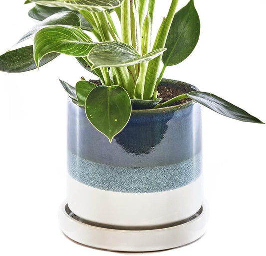 CHIVE ‘Minute’ Ceramic Succulent Planters — 5” Indoor Cactus & Flower Container Pots with Drainage & Detachable Saucer — Green Blue