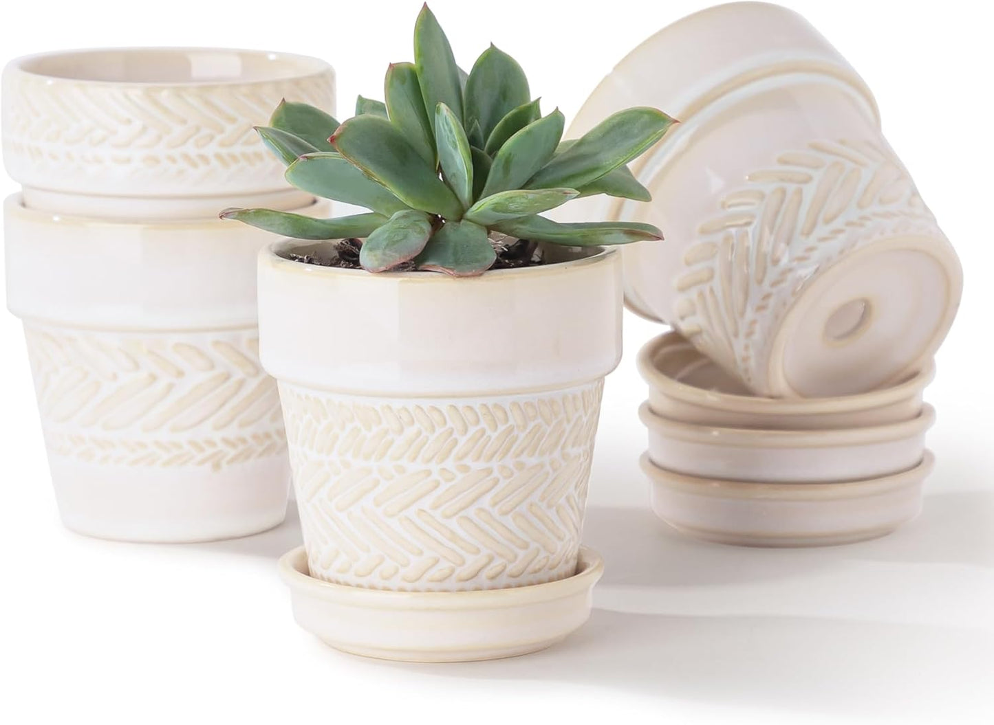 Succulent pots,Indoor Small Succulent Bonsai,3 Inch Mini Ceramic Succulent Pots with Saucer and Drainage Hole, Decorative Planter for Succulent, Cactus, Set of 4.
