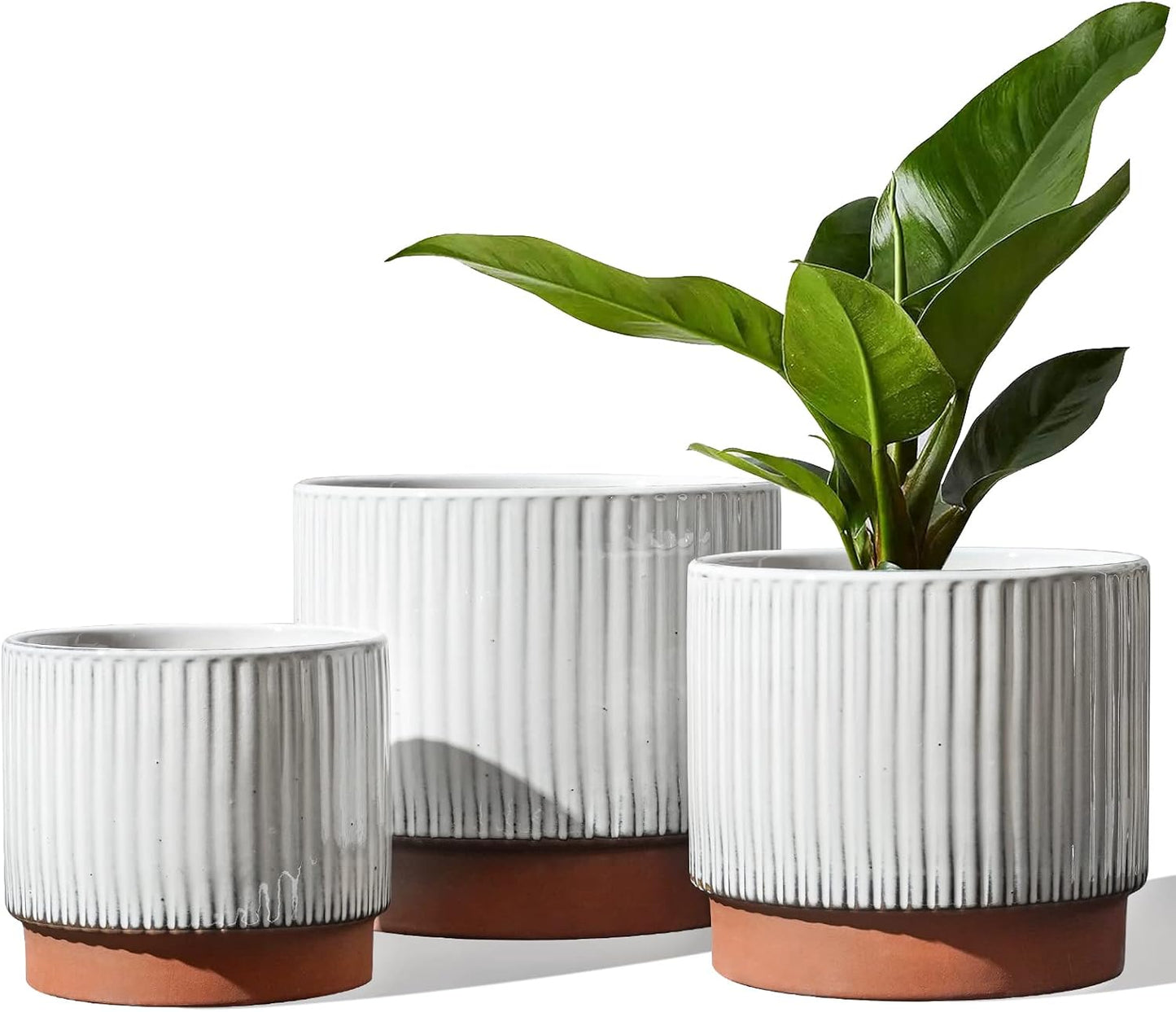 LE TAUCI Ceramic Pots for Plants, 8+6.7+5.5 Inch Plant Pots Indoor, Flower Pot with Drainage Holes, Medium Cylinder Planters for Indoor House Plants, Set of 3, Reactive Glaze White