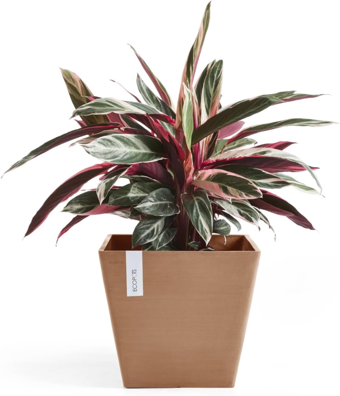 Ecopots Rotterdam Durable Modern Square Indoor/Outdoor Recycled-Based Composite Flower Planter, Terracotta Color, 12"