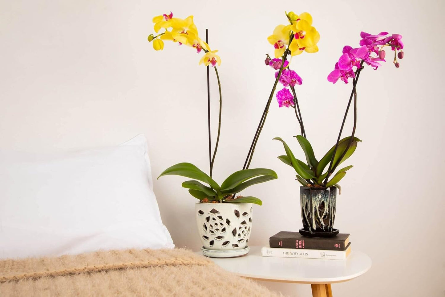 rePotme 4 x 6 inch Ceramic Orchid Pot (Honey Cream Over Coffee) - Hexagon Orchid Pot with Holes