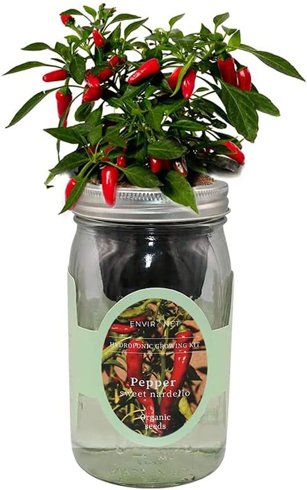 Hydroponic Pepper Growing Kit, Self-Watering Mason Jar Vegetable Starter Kit Indoor, Grow Peppers from Organic Seeds (Sweet Nardello Pepper)