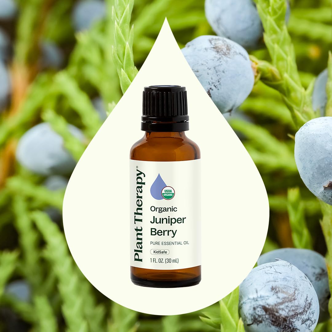 Plant Therapy Organic Juniper Berry Essential Oil 100% Pure, Undiluted, Natural Aromatherapy, Therapeutic Grade 10 mL (1/3 oz)