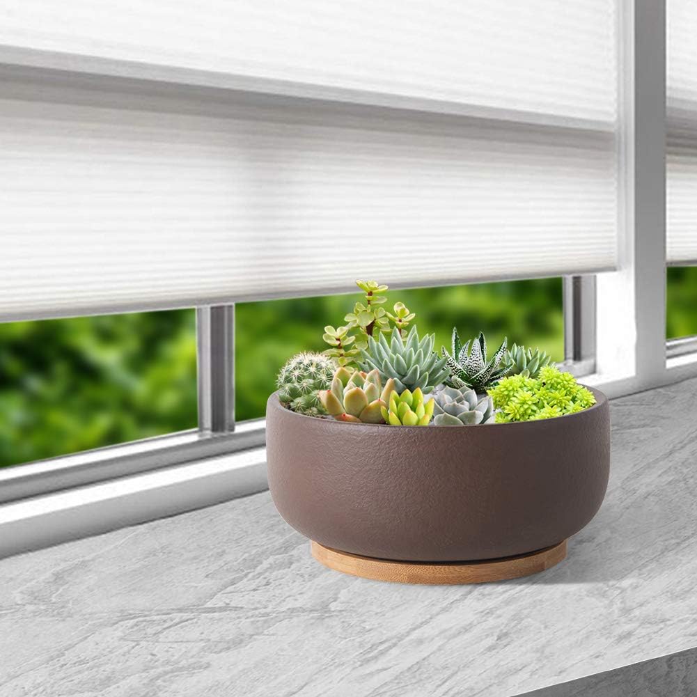 SQOWL Terracotta Bonsai Planter Pot for Succulent 8 Inch Pottery Round Planter Cactus Clay Flower Pot with Drain Hole and Bamboo Tray Indoor Outdoor
