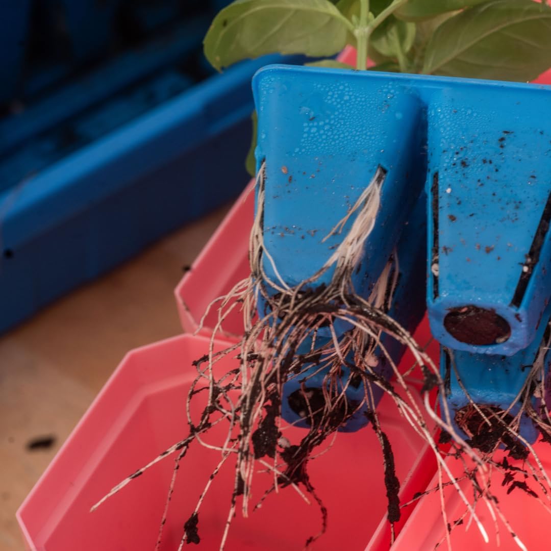 Bootstrap Farmer Ultimate Seed Starter Kit in Black with Humidity Domes for Indoor Seed Starting, Propagating, Germinating