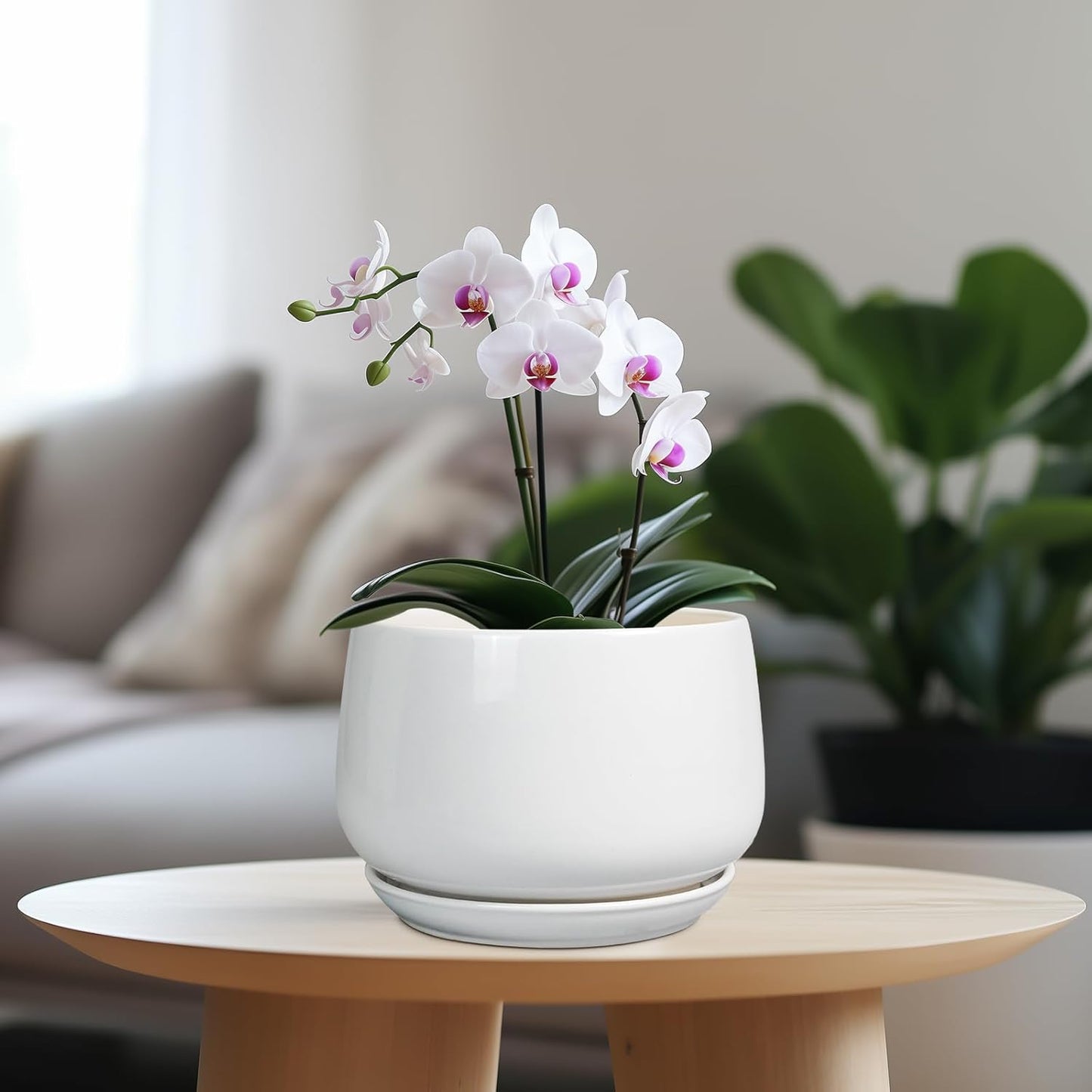 G EPGardening Ceramic Pots for Plants - 7 Inch Planter for Indoor Plants, Round Flower Pots with Drainage and Saucer, Modern Outdoor Planter, Garden Decor, Home Gifts, White