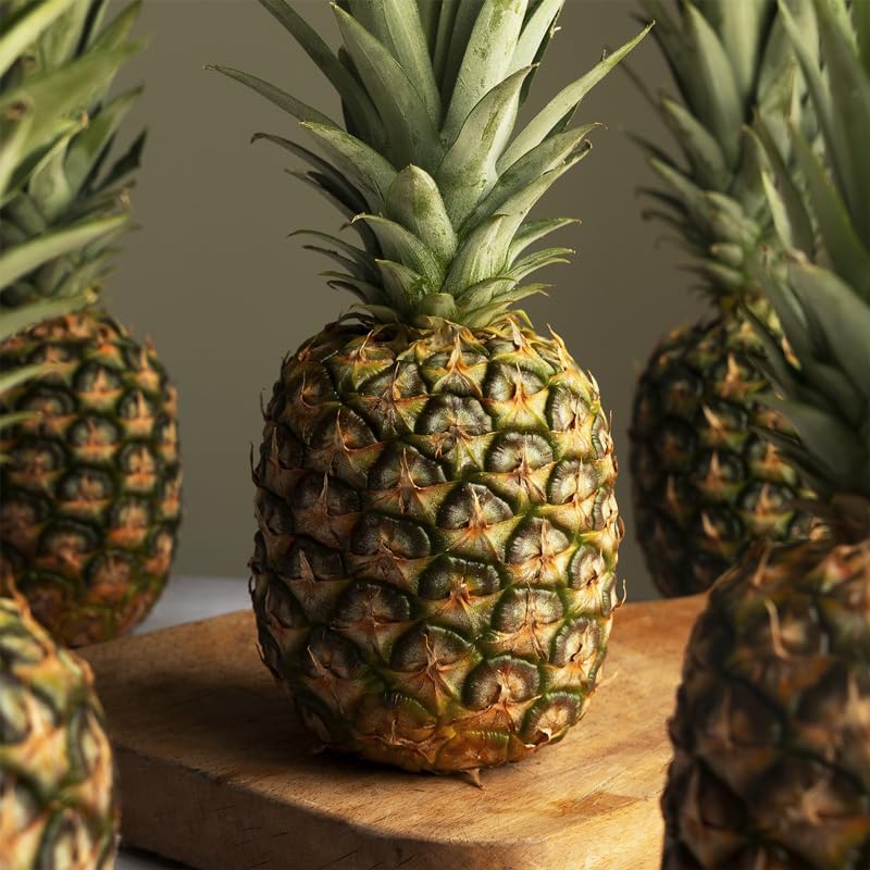 Pineapple Plant White Jade (4 Pack) | Grow Your own Food on Your Edible Organic Garden | Easy to Grow Plants | Edible Fruit Plant for Sustainable Living | Live for Planting |