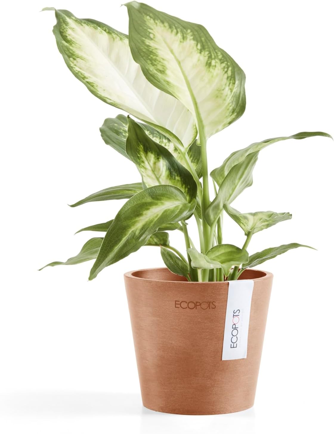 Ecopots Amsterdam Mini Durable Modern Round Recycled-Based Composite Flower Pot Planter, Terracotta Color, 4"