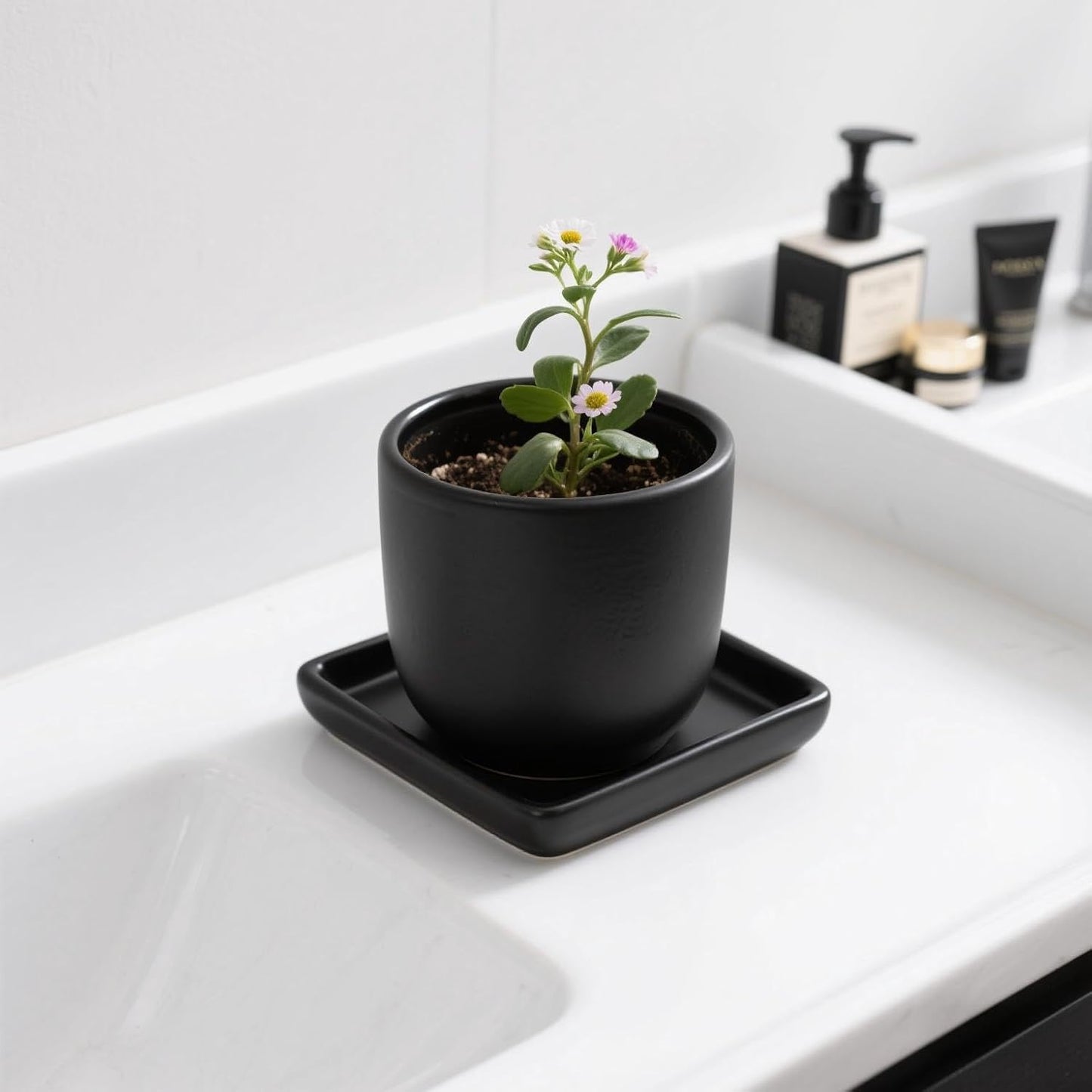 Square Plant Saucer 4 Inch 2 Pack，Plant Trays for Pots, Black Ceramic Plant Saucers for Indoors Outdoors, Plant Drip Tray 4 6 8 10 12 14 Inch