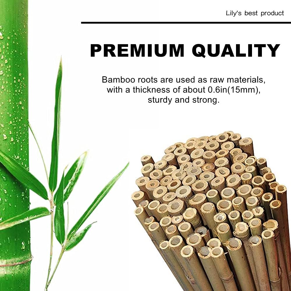 50 Pack 6ft Bamboo Plant Stakes for Wood Garden Sticks，Wooden Plant Supports，Bamboos，Bamboo Trellis，Crafts, More Size Choices 8"/12"/16"//2'/3'/4'/5'/6'