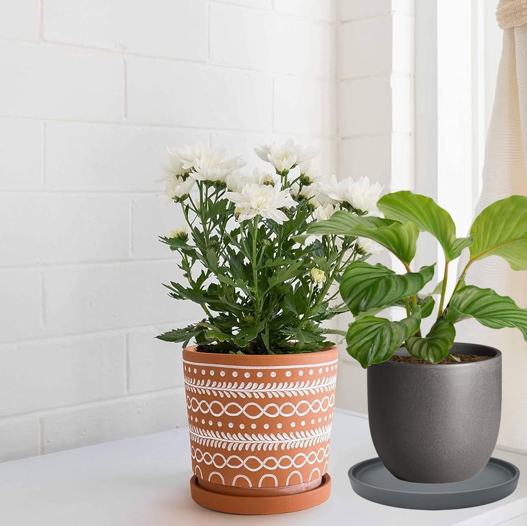 2 Pack Ceramic Plant Saucer Pot Tray 8 Inch, Planter Saucers 4 5 6 7 8 9 10 11 12 13 Inch for Indoors Outdoor, Durable Sturdy Flower Drainage drip Water Tray for Glazed Pots Base (8.5 Inch-Grey)