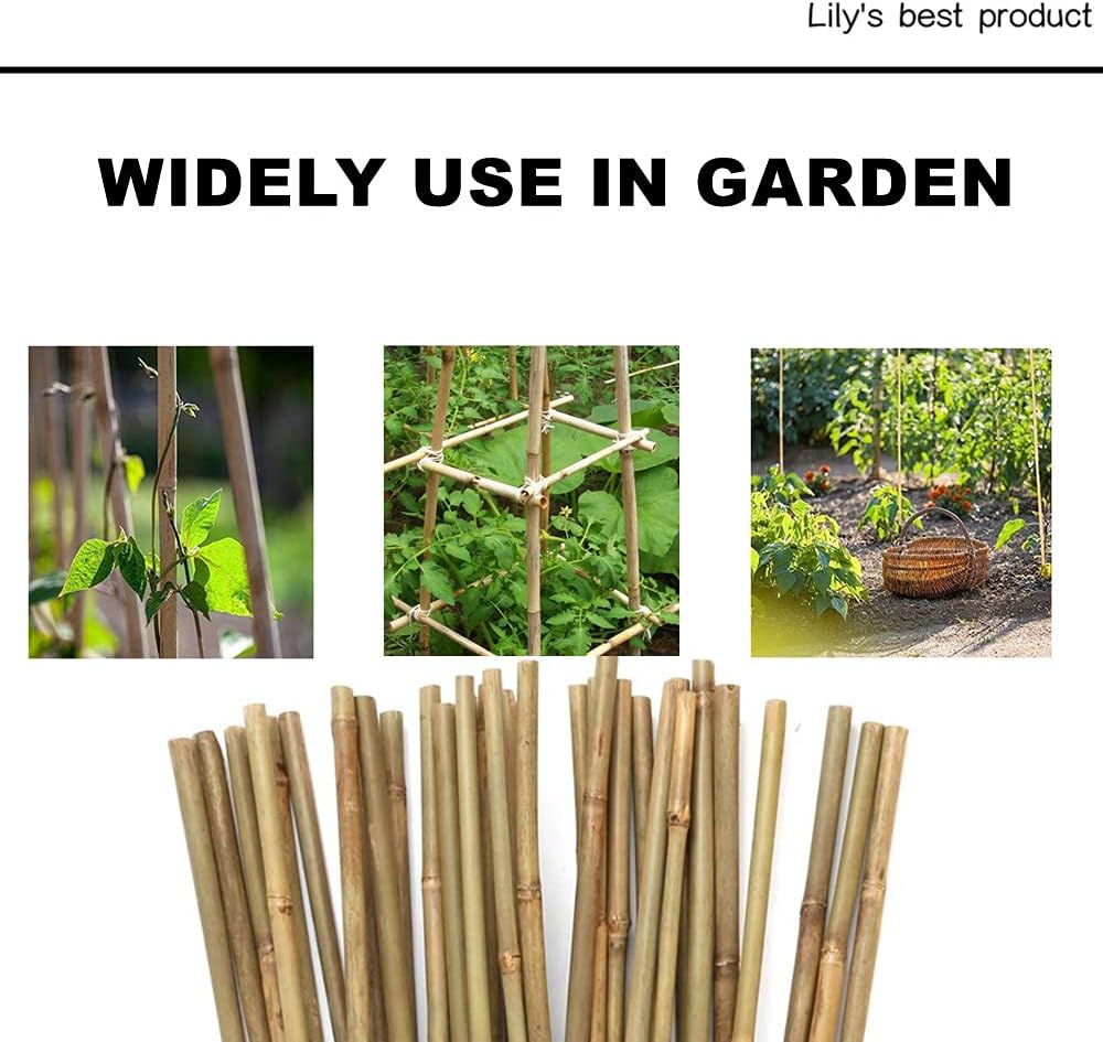 HOPELF 50 Pack 3ft Bamboo Plant Stakes for Wood Garden Sticks，Wooden Plant Supports，Bamboos，Trellis，Crafts, More Size Choices 8"/12"/16"//2'/3'/4'/5'/6'