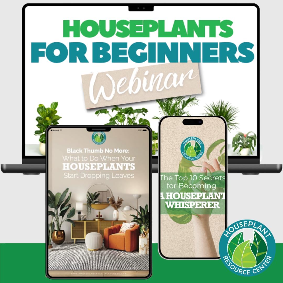 Stainless Steel Watering Can for Houseplants by Houseplant Resource Center | 1L Capacity for Indoor/Outdoor Plants in Brushed Gold