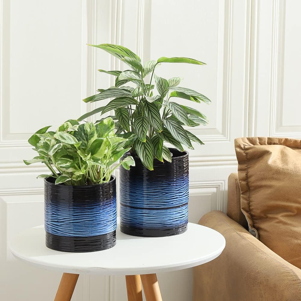 Nihow Ceramic Plant Pot: 6 Inch Planter with Drainage Hole & Saucer for Indoor & Outdoor Plants - Cylinder Round Flower Pot for Succulent/Herbs/Violets - Black & Vivid Blue