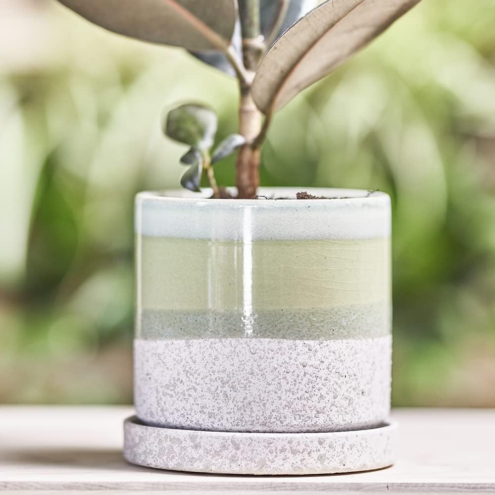 CHIVE ‘Minute’ Ceramic Planter Pot — Cute 5” Colorful Succulent Pots for Indoor & Outdoor House Plants — Beautiful Modern Farmhouse Kitchen Decor — Green Cement