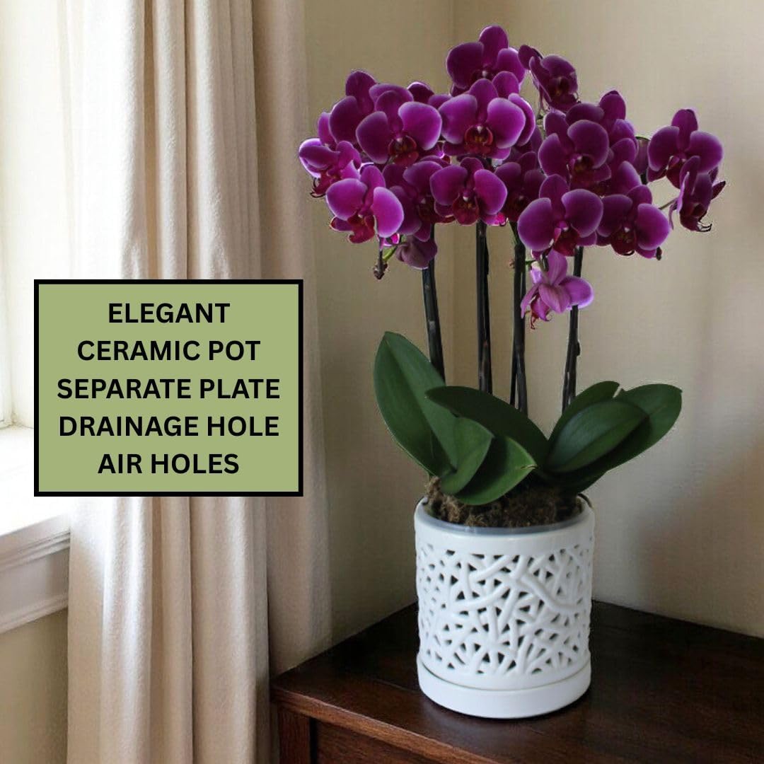 Large Ceramic Orchid Pot with Holes, 6 Inches Wide, for Indoors or Outdoors with Woven String Cut Out Design, Orchid Planters