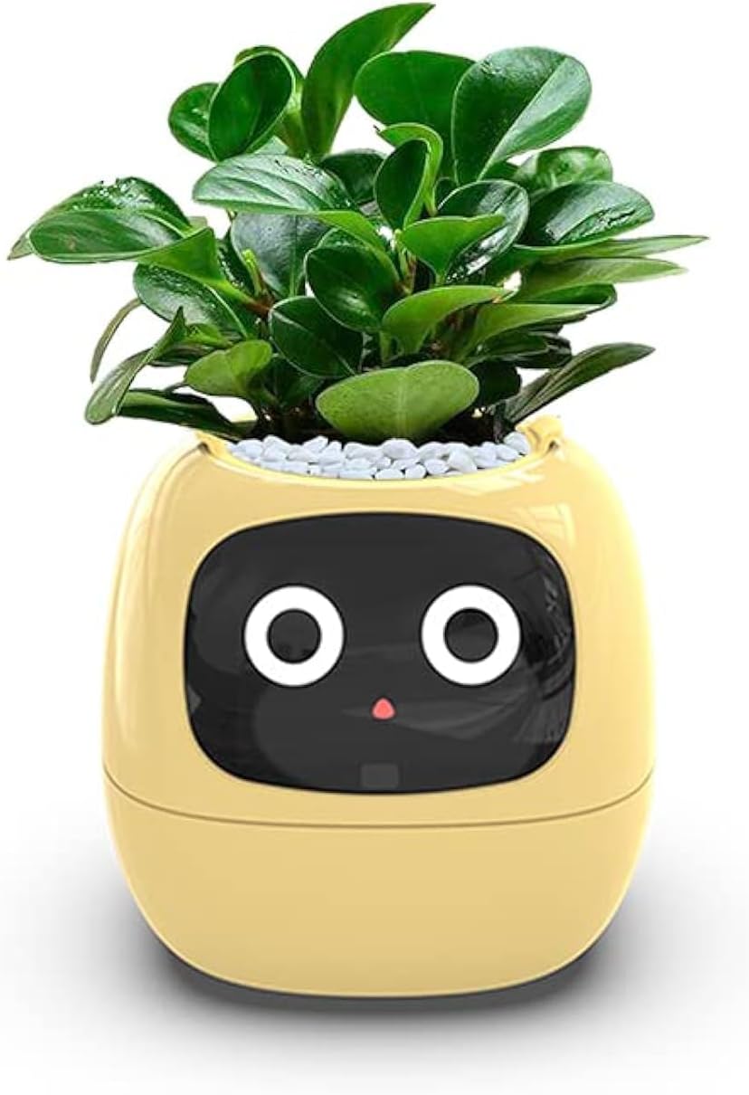 Smart Flowerpots,Smart Pet Planter,Ai Planter,Intelligent Flowerpots,Multiple Expressions,7 Smart Sensors, and Ai Chips Make Raising Plants Easy and Fun for Living Room,Plant-Free,Yellow