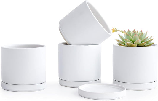 D'vine Dev Set of 4 Small Ceramic Plant Pots, 4.6 Inch Succulent Planter Pot for Plants with Drainage Hole and Saucer, White, 94-X-B-1
