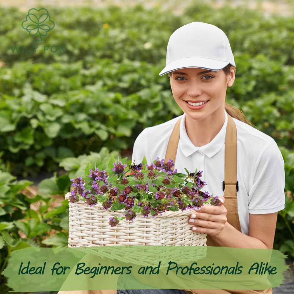 Premium Prunella Vulgaris Seeds - 700+ Non-GMO Self Heal Herb Seeds for Planting - Heirloom Medicinal Herb, Attracts Pollinators - Easy to Grow for Garden, Indoors or Outdoors (Prunella vulgaris)