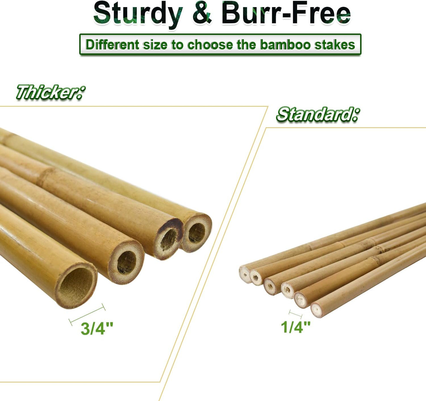 15pcs 3/4" D Thicker Heavy Duty Bamboo Stakes, 7FT Plant Stakes, Natural Garden Stakes for Tomato, Bean, Flowers,Trees Potted and Climbing Plant Support