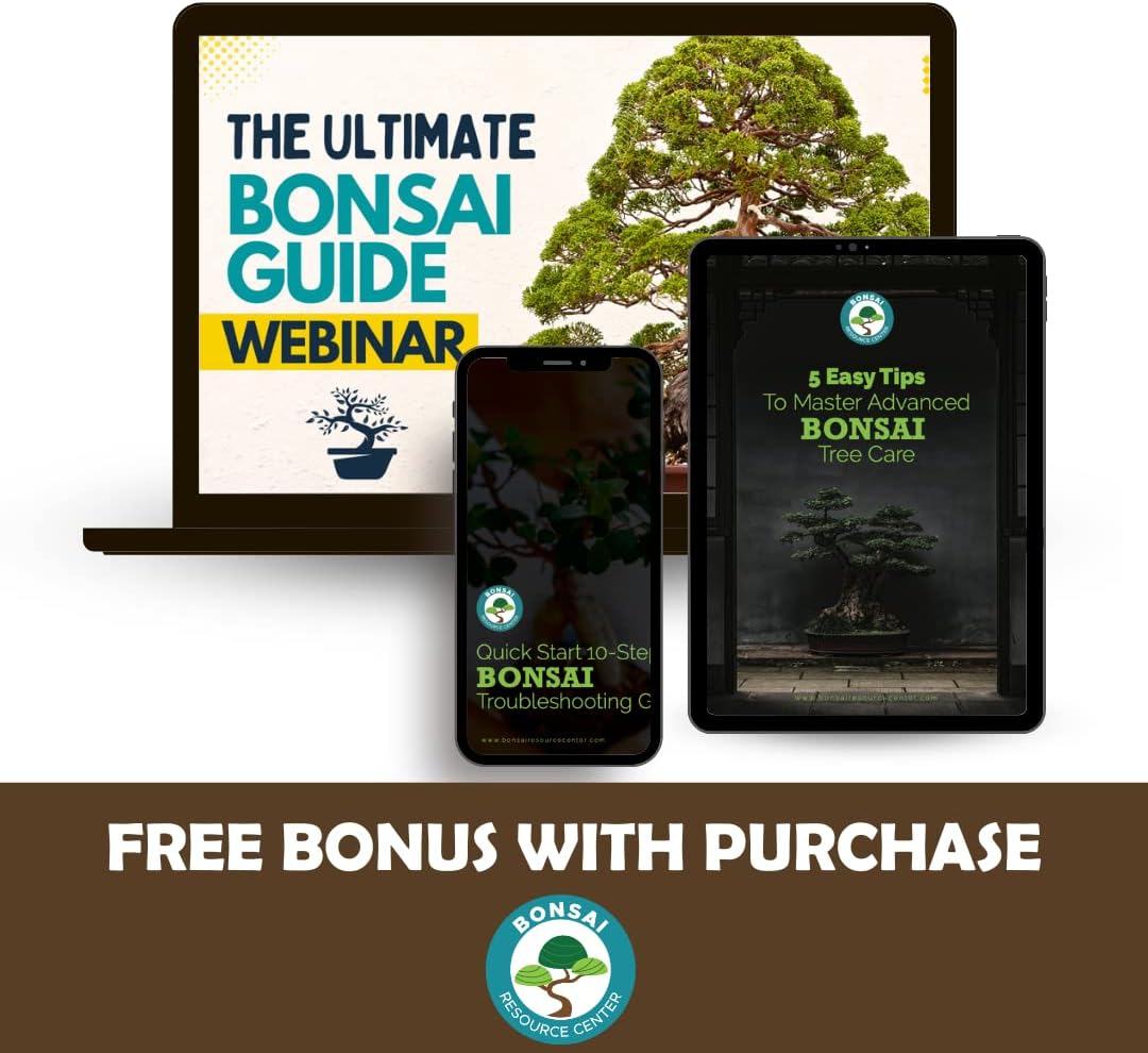 Bonsai Tree Food | Premium, Gentle Liquid Fertilizer for Healthy Growth, Strong Stems and Beautiful Blooms | 3-3-3 Balanced NPK Concentrate | Made in USA | 8 oz (240 ml)