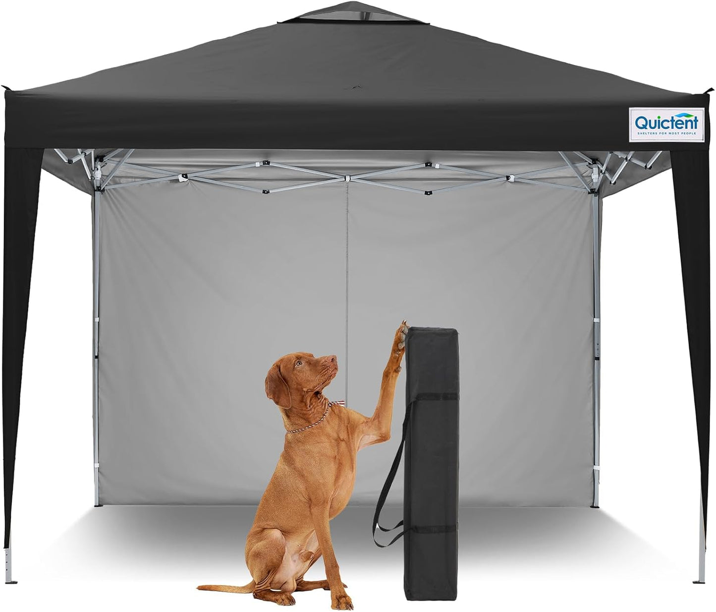 Quictent 10x10 Pop Up Canopy Tent, Instant Setup Gazebo for 1 Person, Portable & Compact, Waterproof & UV Protection, Ideal for Camping, Beach, Parties, and Outdoor Events