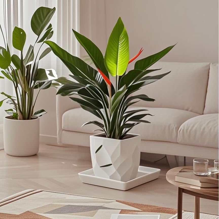 Square Plant Saucer 14 Inch 1 Pack，Plant Trays for Pots, White Ceramic Plant Saucers for Indoors Outdoors, Plant Drip Tray 4 6 8 10 12 14 Inch