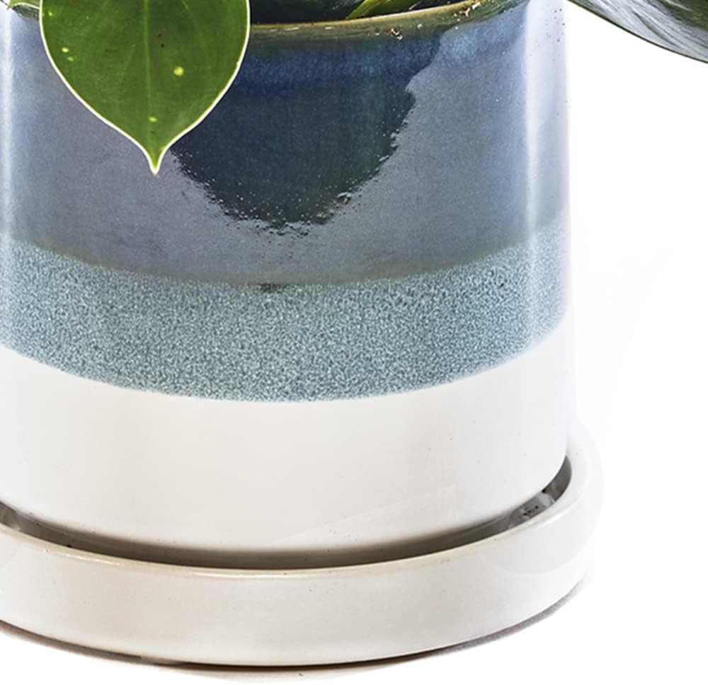 CHIVE ‘Minute’ Ceramic Succulent Planters — 5” Indoor Cactus & Flower Container Pots with Drainage & Detachable Saucer — Green Blue