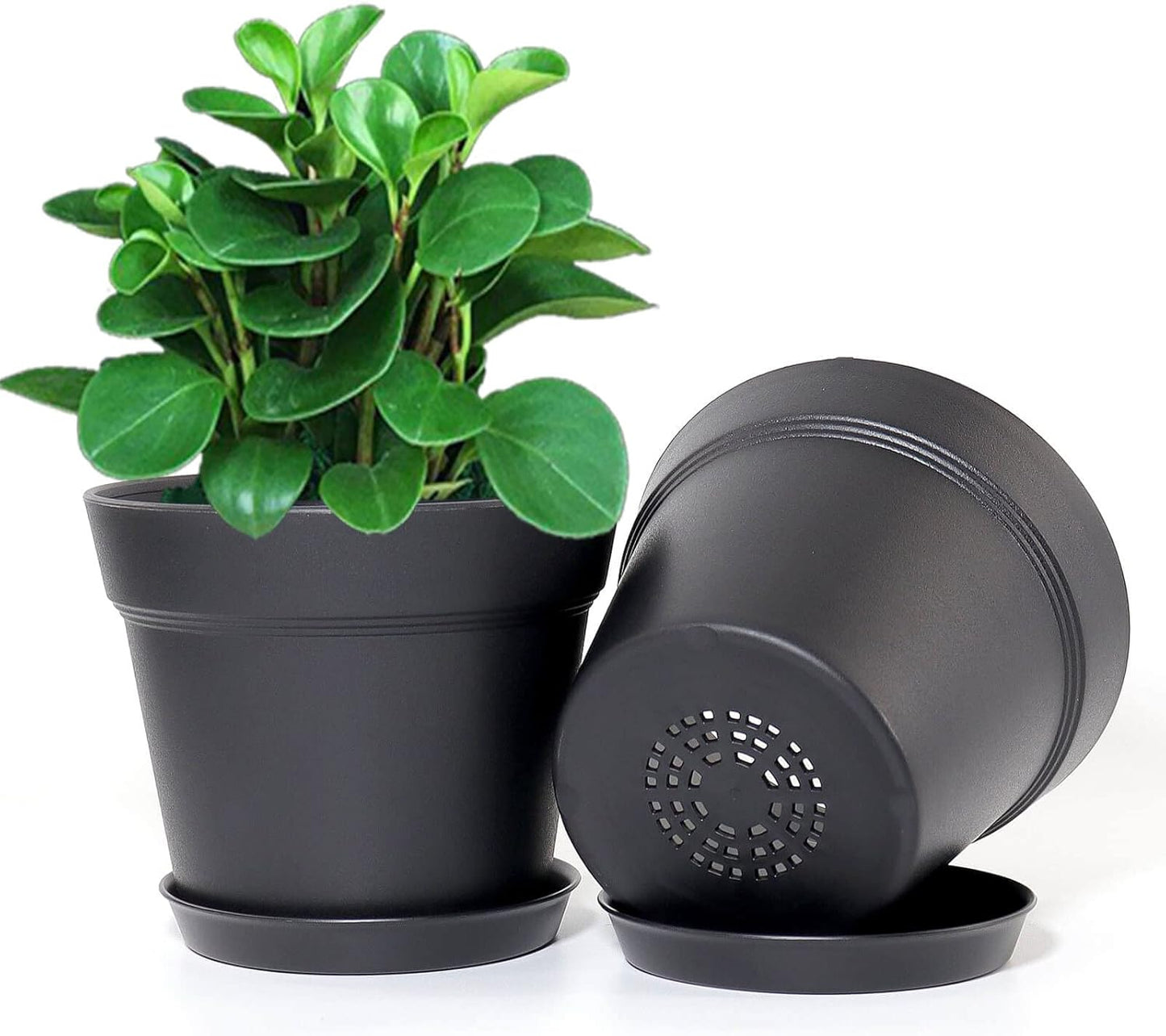 WOUSIWER 16 Pack 6 inch Plastic Planters for Indoor Flower Pots, Heavy Duty and Stylish 6 Inch Plant Pots for Indoor Plants with Drainage Holes and Tray for Plants, Flowers, Black
