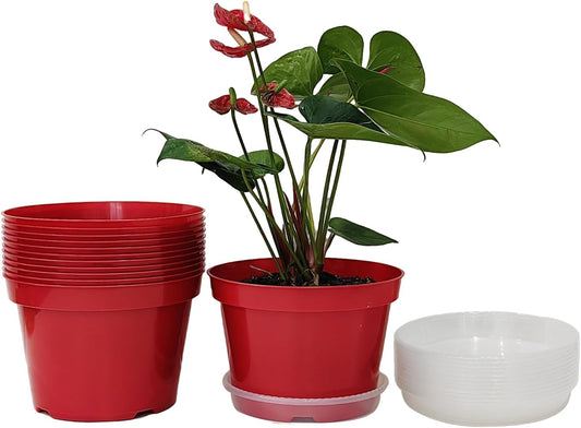 8 inch Plastic Flower Pots, Red Plant Pots 12Pack with Saucers for Indoor House Plants Growing and Decoration