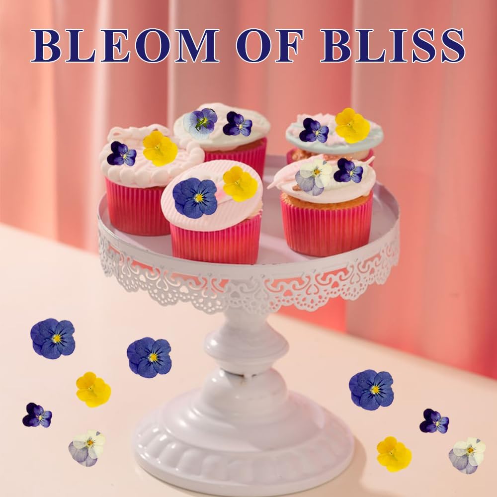 48Pcs 8 Kinds Natural Dried Pressed Edible Flowers for Cake Topper Decorating - Mix Viola Tricolor for Cocktails Cupcake Toppers, Resin DIY Art Jewelry Candle & Soap Making