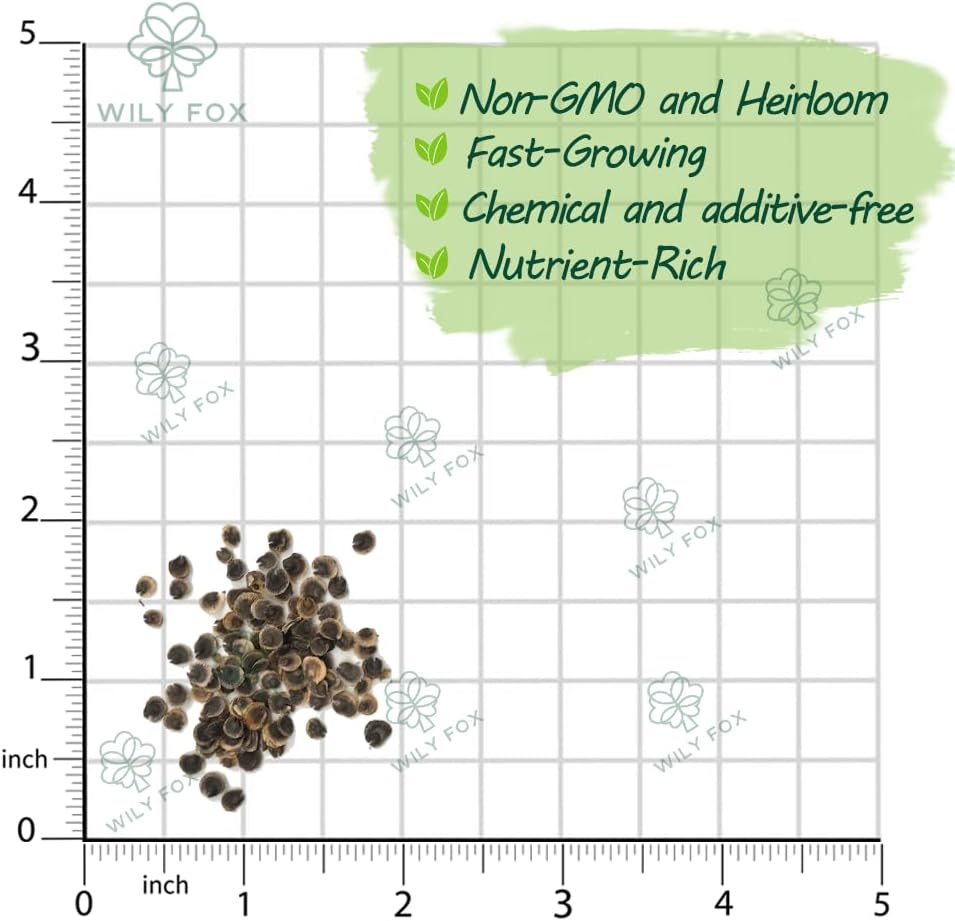 Premium Rare Hollyhock Seeds – 100+ Double Red Hollyhock Flower Seeds – Non-GMO, Heirloom Perennial – Showy Blooms for Outdoor Planting (Dwarf Double Red Hollyhock)