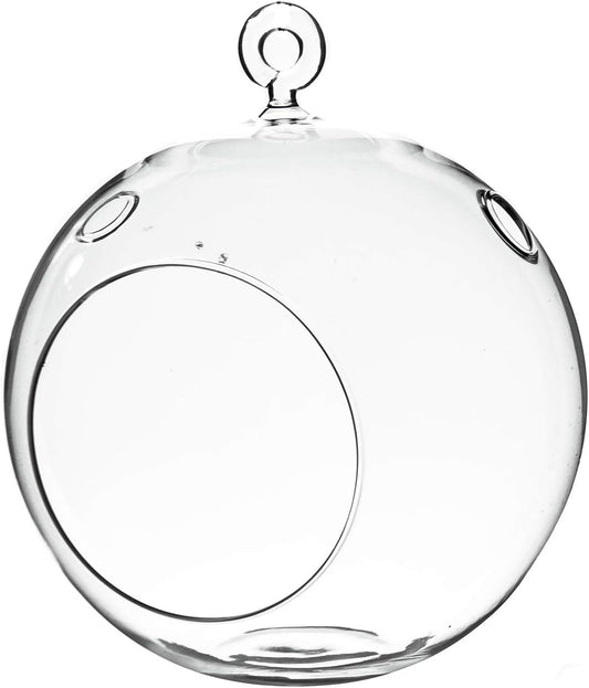 WGV Hanging Terrarium Globe, Width 6", Height 6.5", DIY Air Succulent Planter, Clear Glass Vase Orb with Flat Bottom, Candle Holder for Windowsill Outdoor Garden Decor, 1 Piece