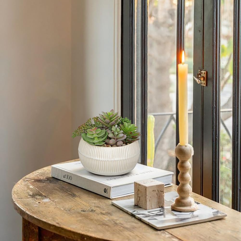 DILATATA Artificial Succulent Plants in Pot 5.5 Inch Fake Succulents Arrangement Potted Plant in White Ceramic Planter Bowl for Home Office Desk Shelf Living Room Bedroom Bathroom Decor