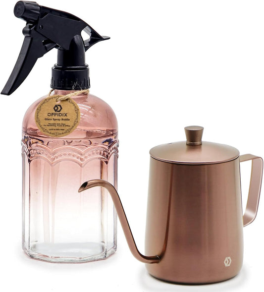 OFFIDIX Watering Can for Indoor Plants Long Spout Metal Stainless Steel 21 oz/600 ml Small Watering Can with 14 oz/400ml Glass Plant Mister Spray Bottle for Plants Bonsai