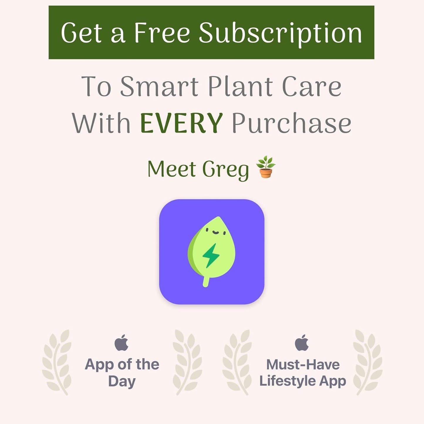 American Plant Exchange Arabica Coffee 3 Pack Fuit Producing Live Plants, Three 4" Pots, Fragrant White Flowers