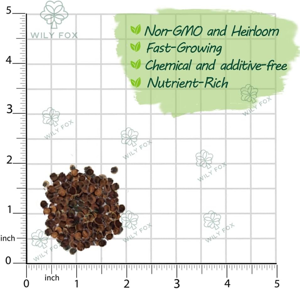 Premium Rare Hollyhock Seeds – 100+ Double Pink Hollyhock Flower Seeds – Non-GMO, Heirloom Perennial – Showy Blooms for Outdoor Planting (Double Pink Hollyhock)